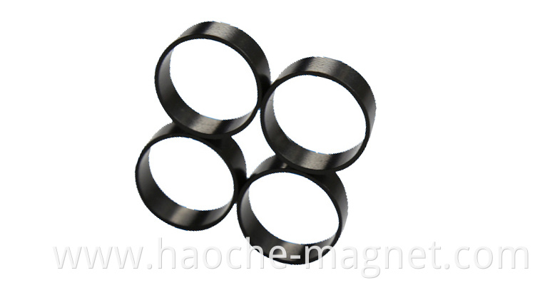 Custom or Standard Multipolar Magnet Bonded Stripper Rings Plastic Injection Bonded Neodymium Magnet